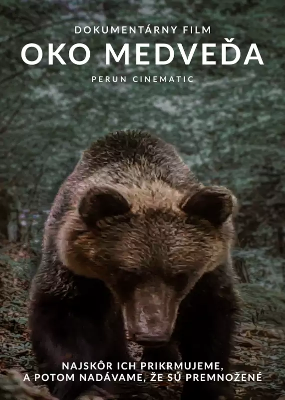 Plagát filmu Oko Medveďa